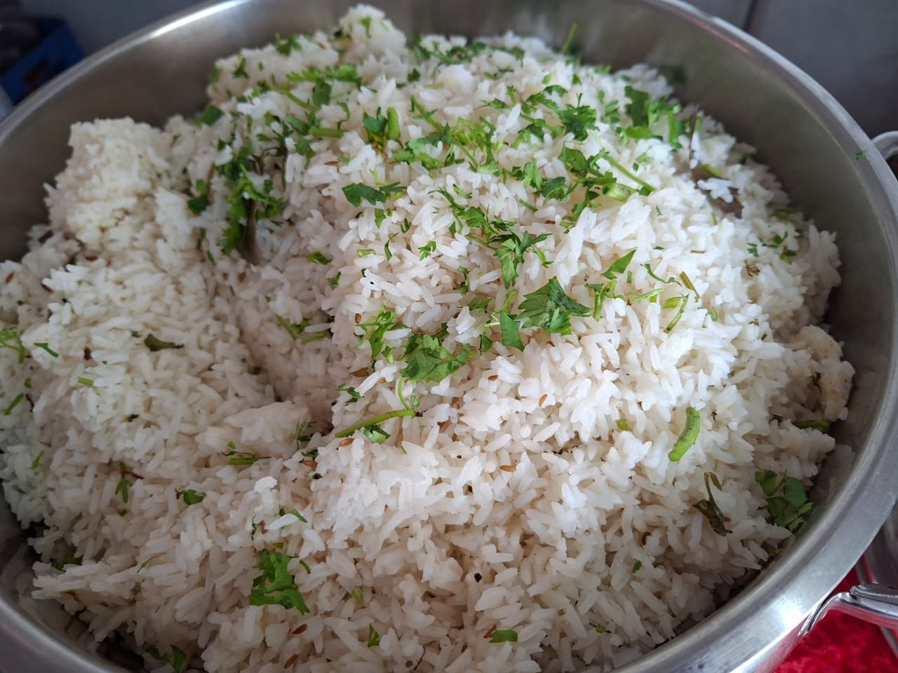 WhatsApp Image 2026-02-18 at 2.35.46 PM